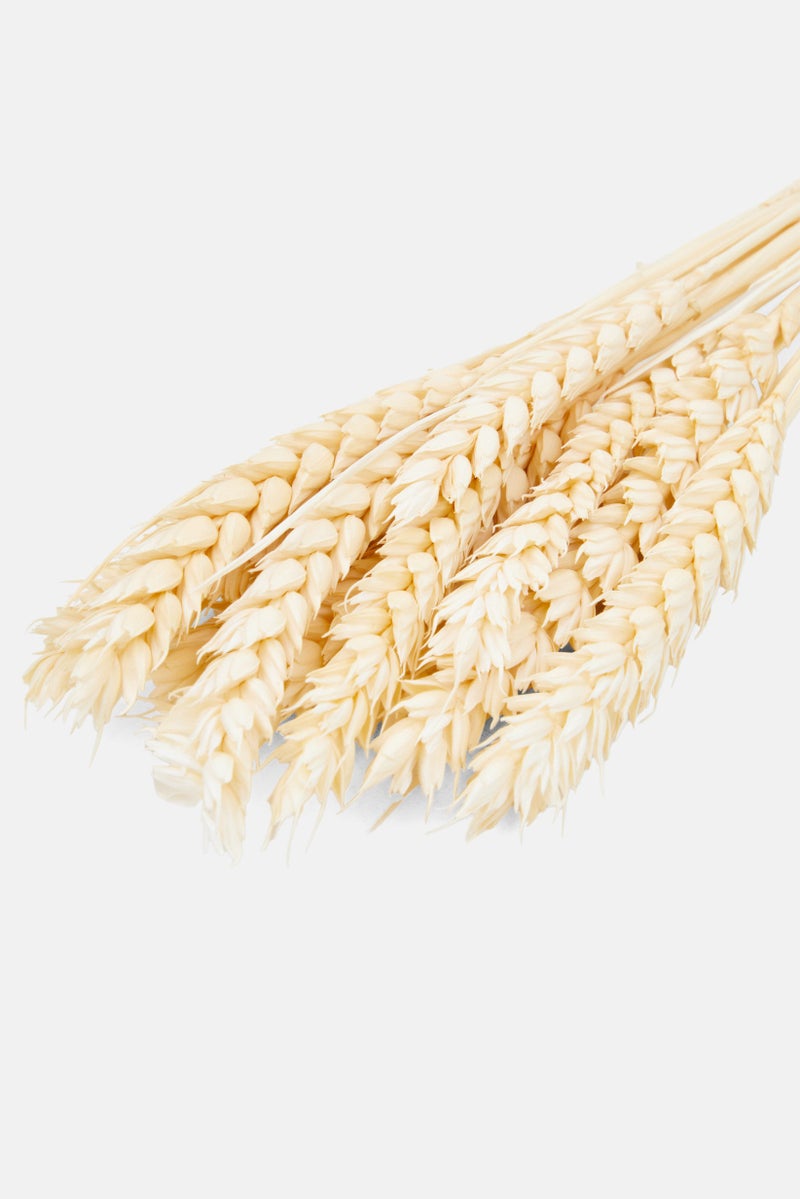 Muy Mucho Assorted Dried Flower 50cm, Pink Combo - Image 3